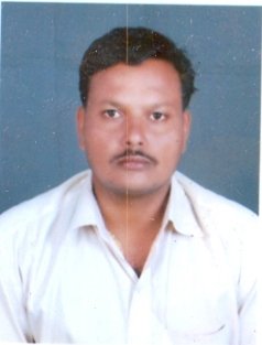 No Image to display